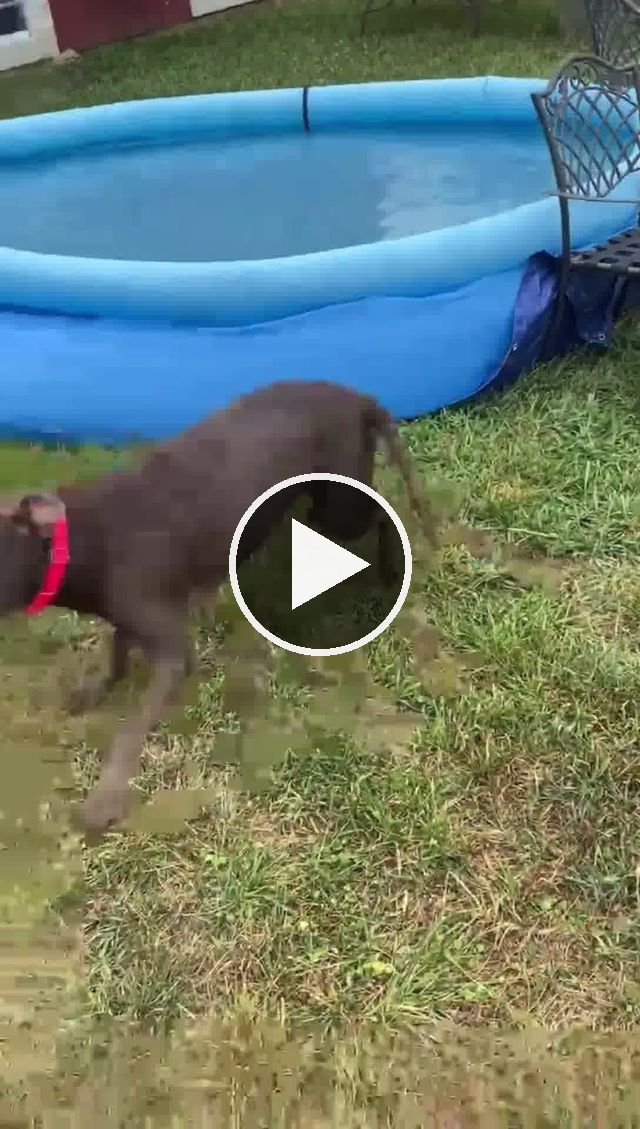 video — Aug 5 2021