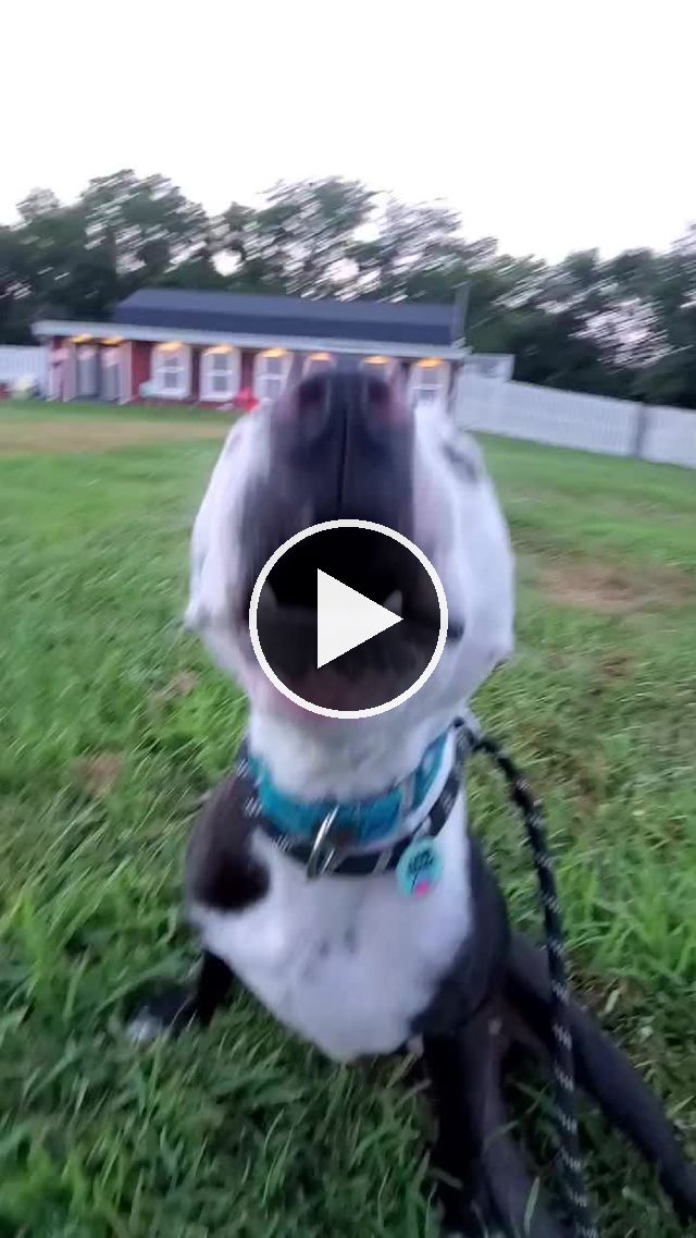 video — Aug 5 2021