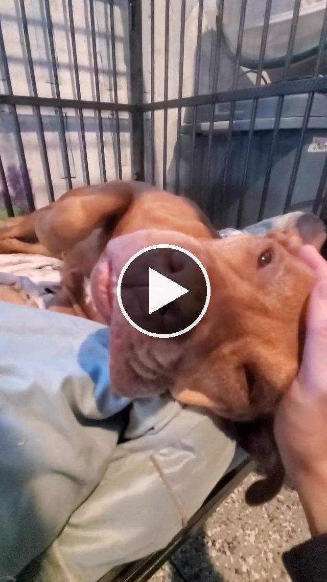video — Aug 17 2021