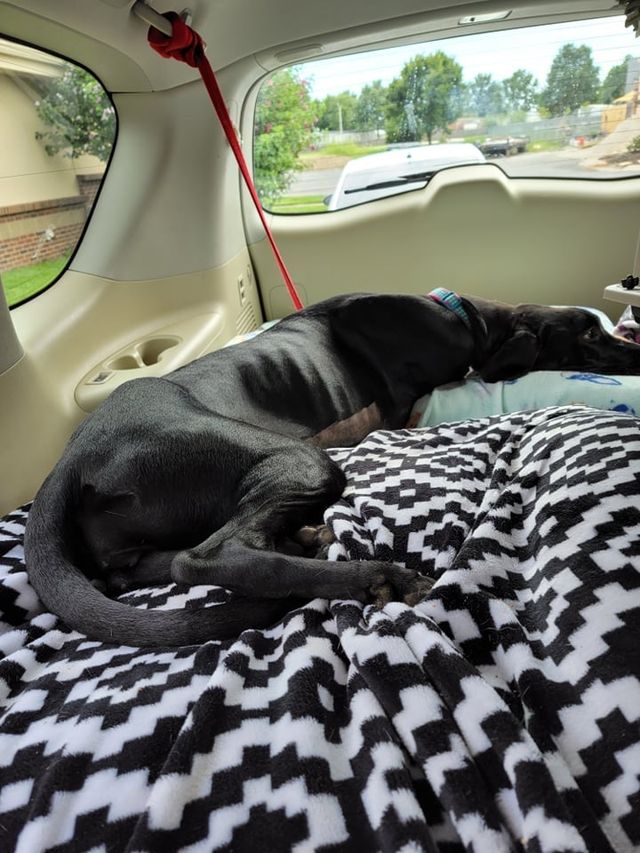 post — Aug 18–29 2021