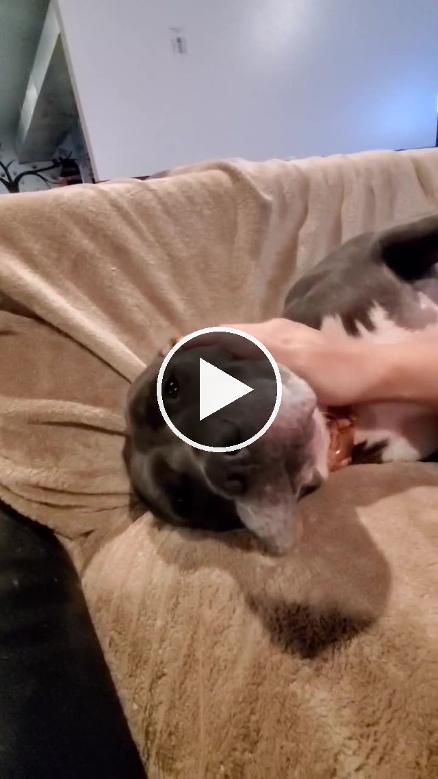 video — Sep 12 2021