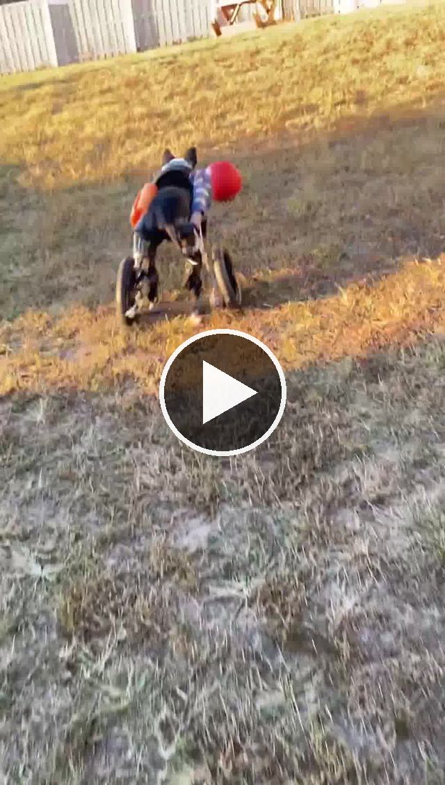 video — Sep 28 2021