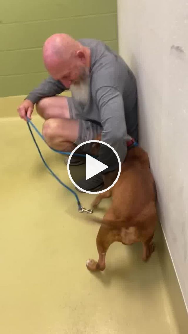 video — Nov 22 2021