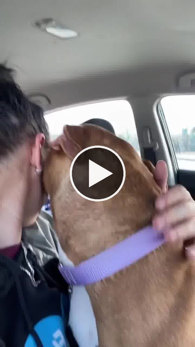 video — Dec 23 2021