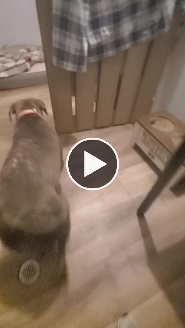 video — Jan 22 2022