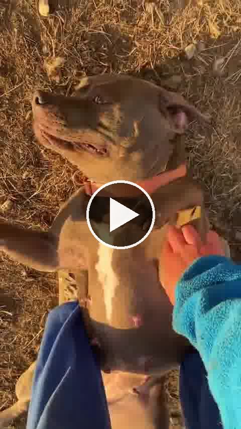 video — Jan 22 2022