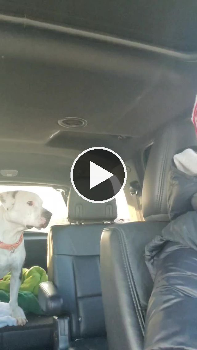 video — Feb 4 2022