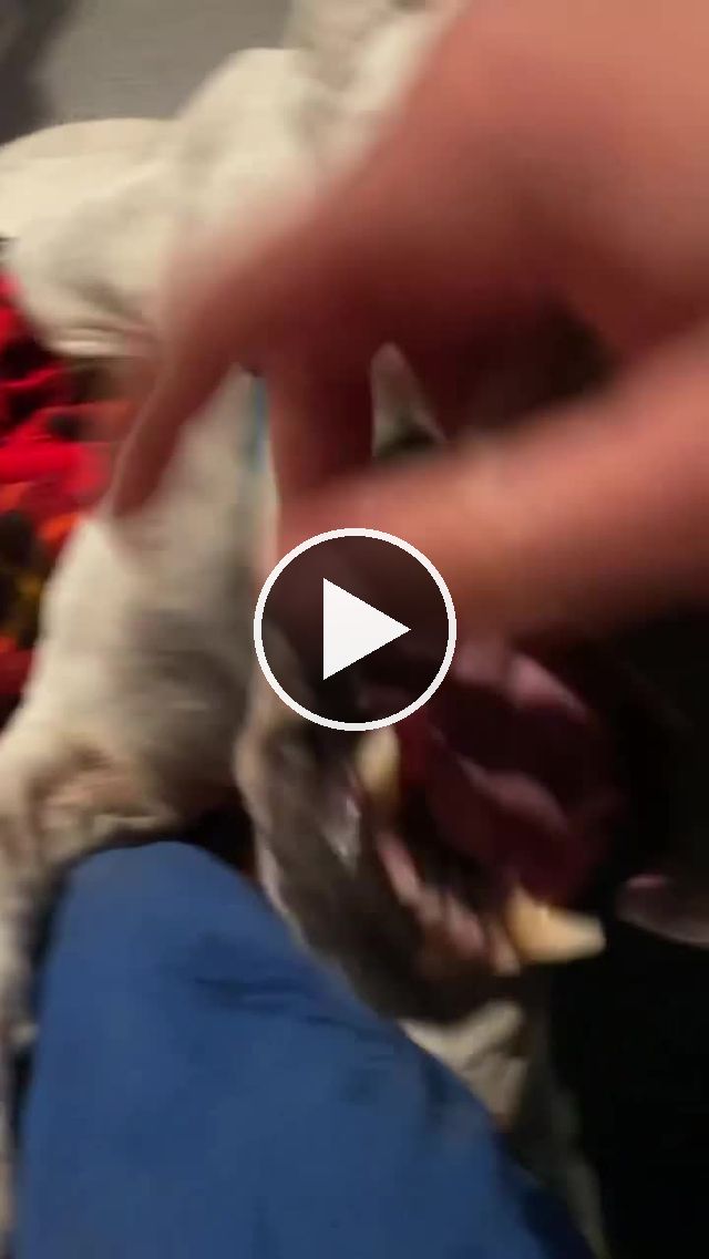video — Feb 10 2022