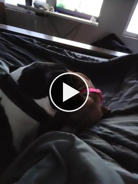 video — Feb 17 2022