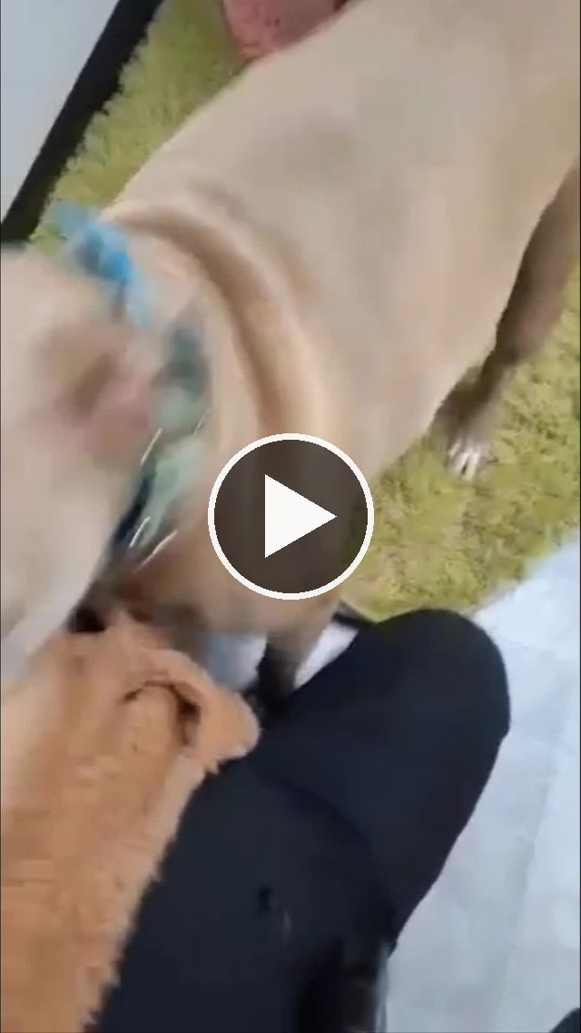 video — Mar 5–16 2022