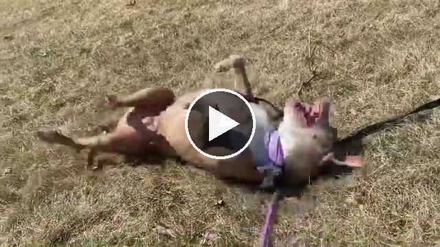 video — Mar 5–16 2022