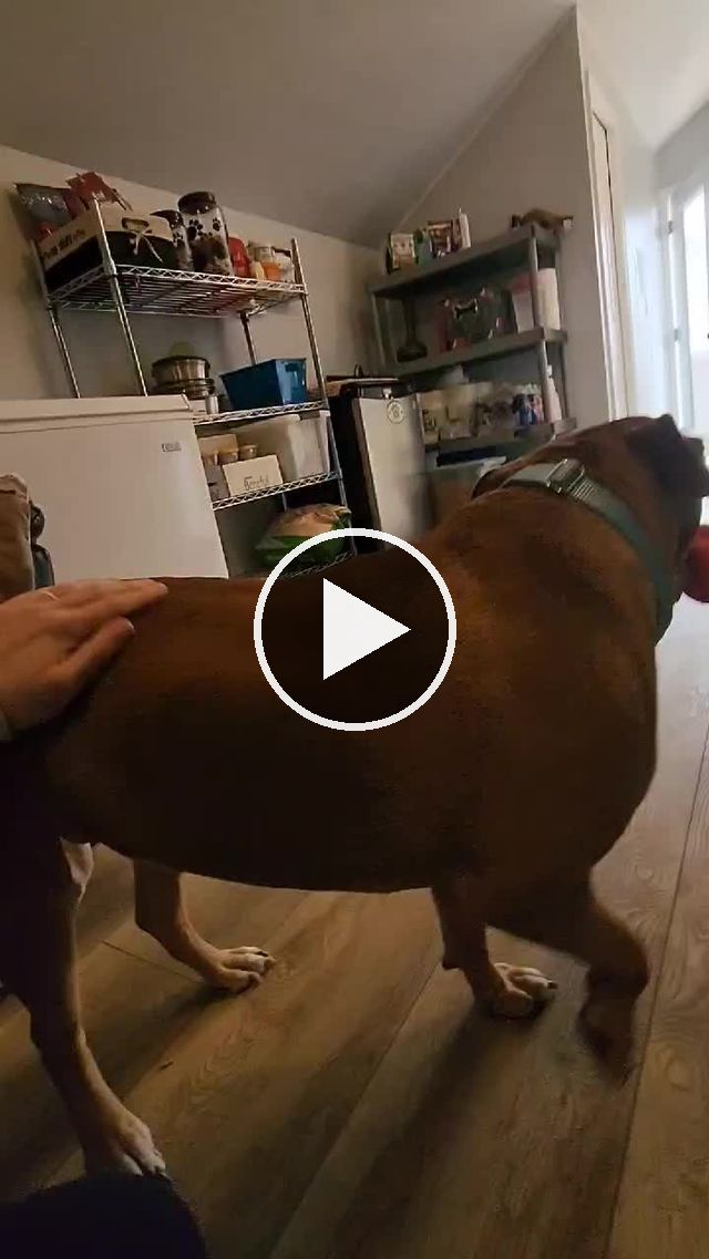 video — Apr 7 2022