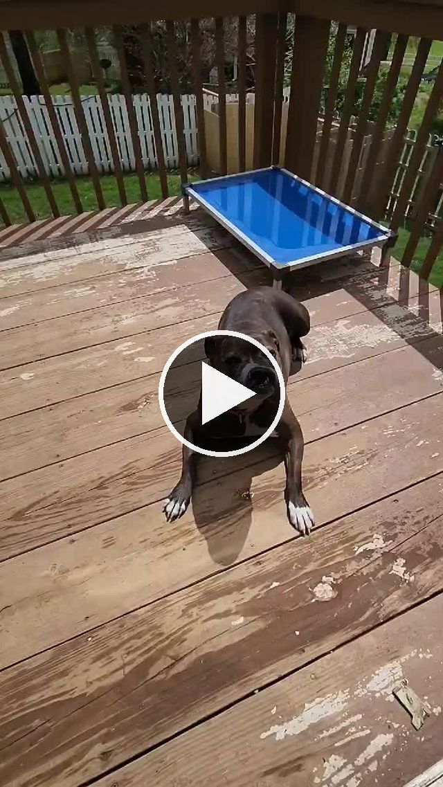 video — May 6 2022