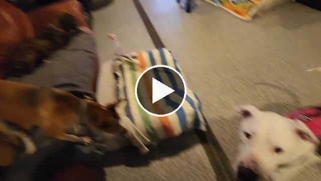 video — May 12 2022