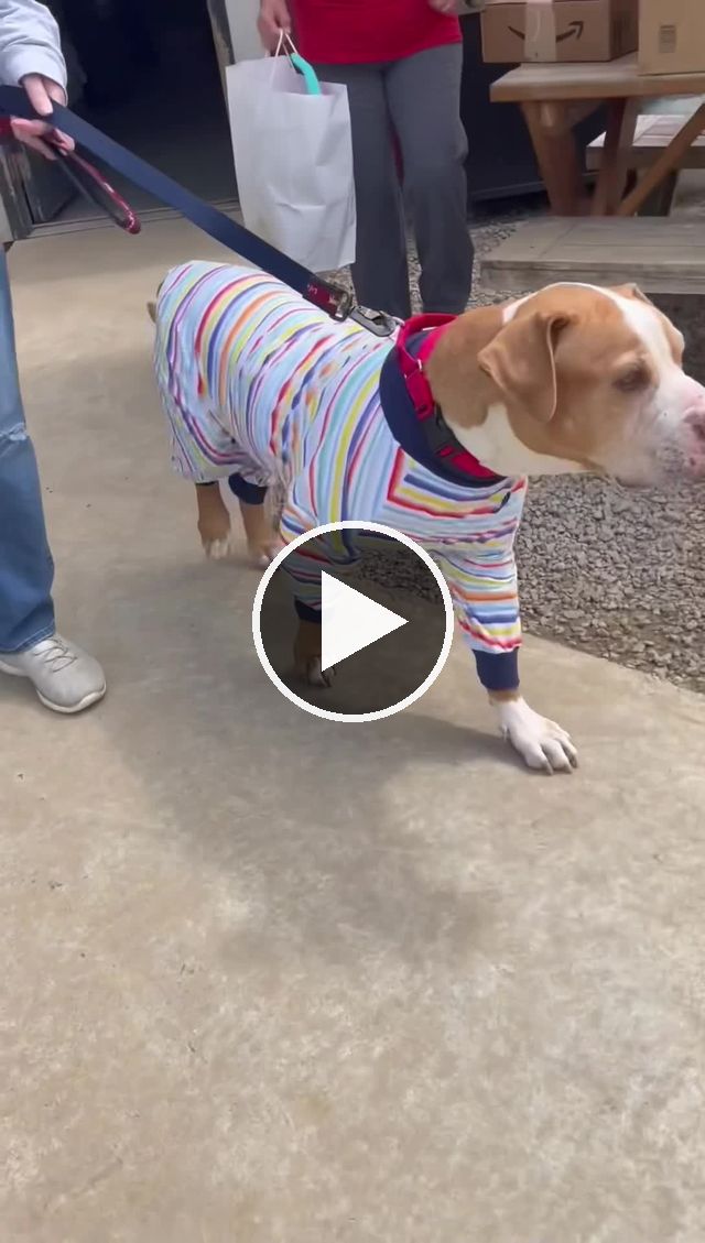video — May 21 2022