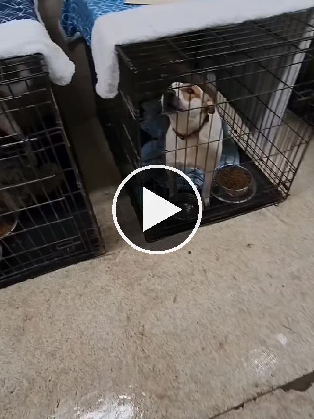 video — May 25–26 2022