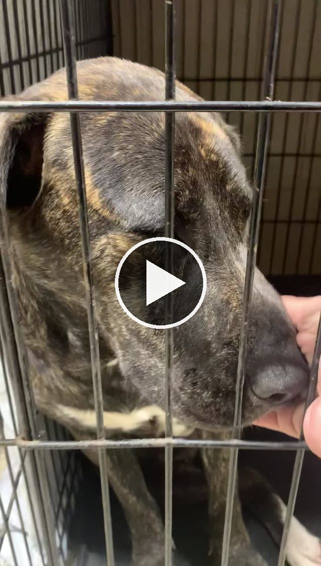 video — May 25–26 2022