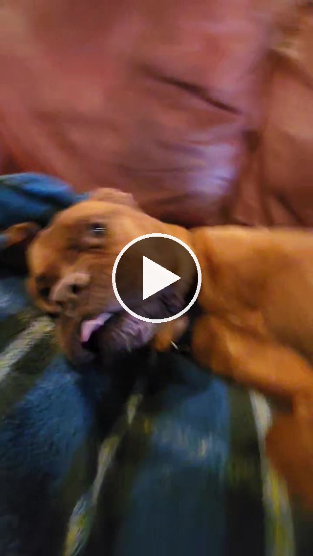 video — Jun 4–6 2022