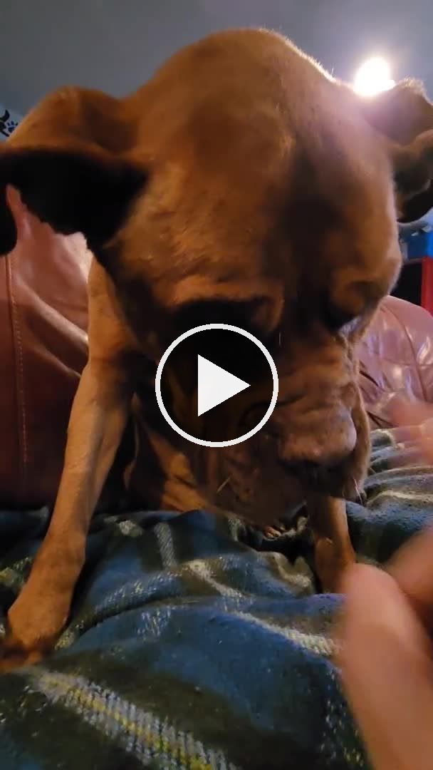 video — Jun 4–6 2022