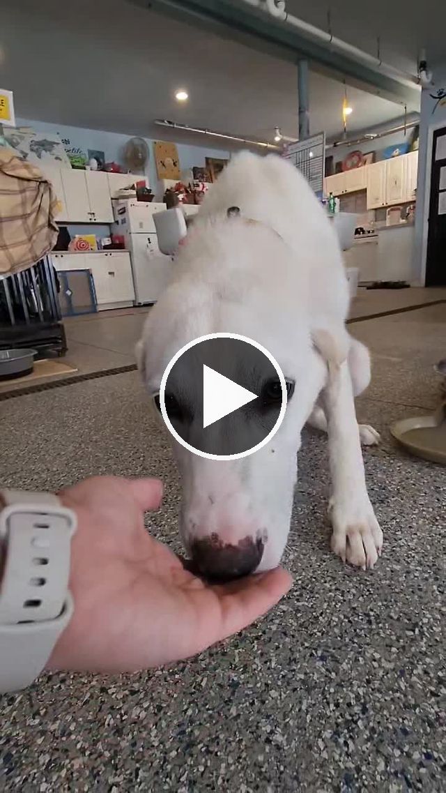 video — Jun 14 2022