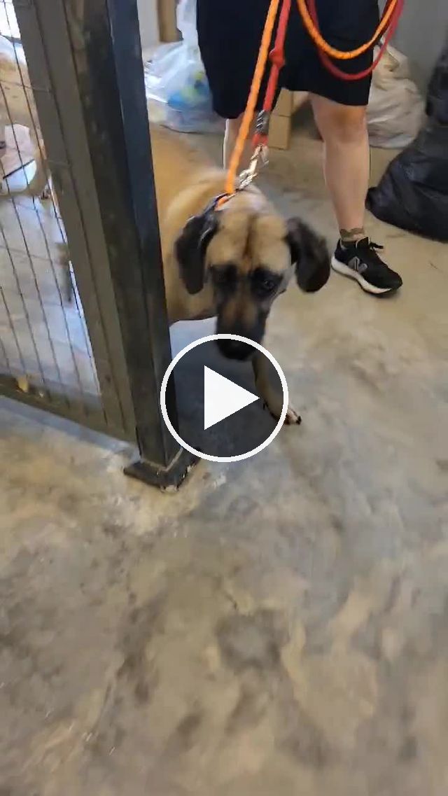 video — Jun 15–20 2022