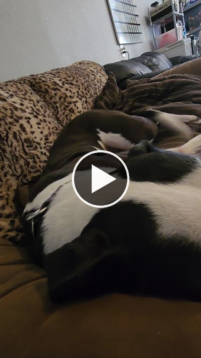 video — Jun 25 2022