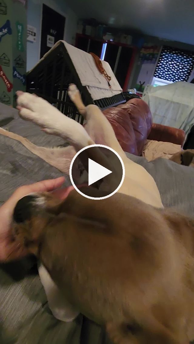 video — Jun 26 2022