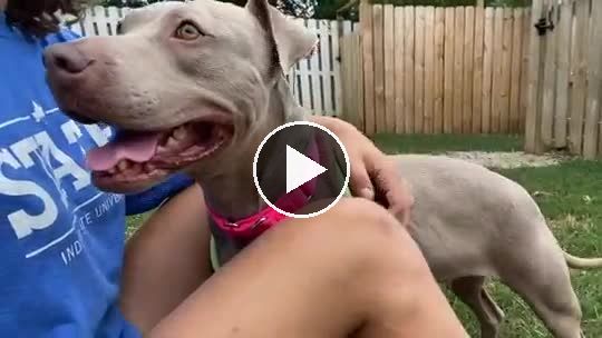 video — Jul 24 2022