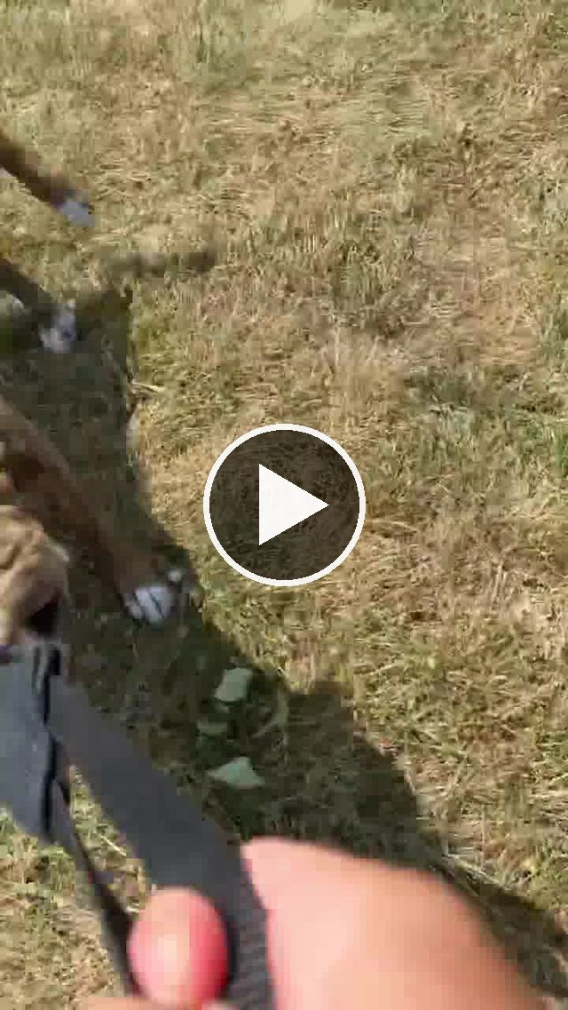 video — Jul 24 2022