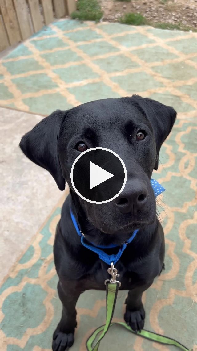 video — Sep 5 2022