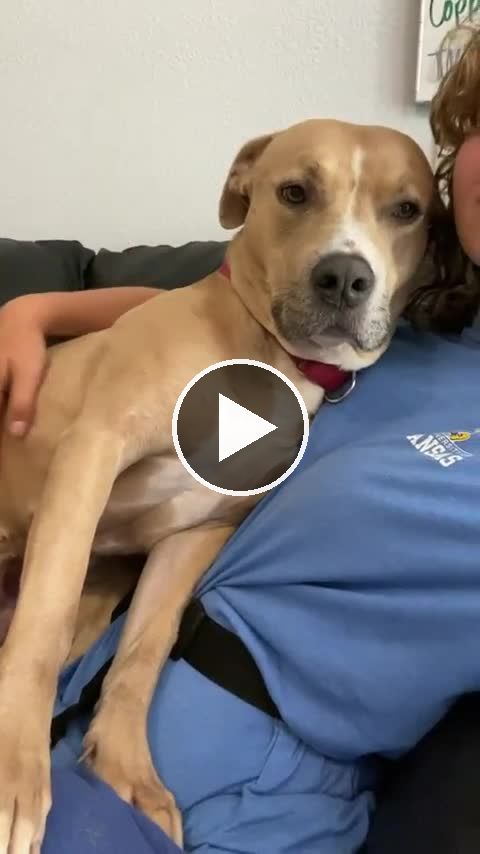 video — Sep 12 2022