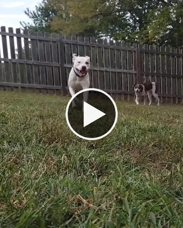 video — Sep 15 2022