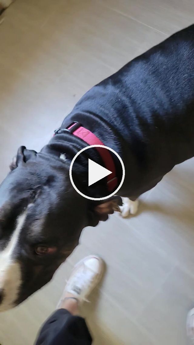 video — Oct 6 2022