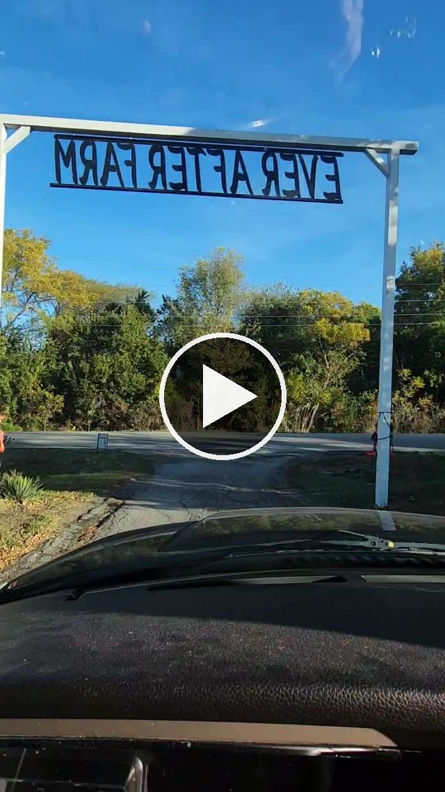 video — Oct 13 2022