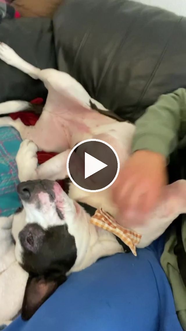 video — Nov 6 2022