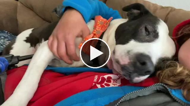 video — Nov 16 2022