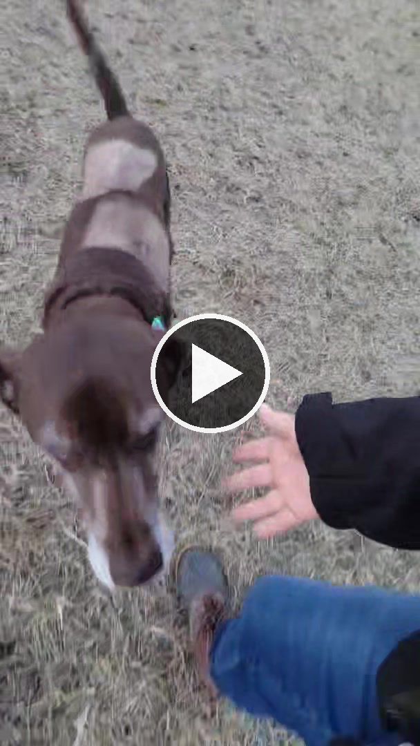 video — Dec 5 2022
