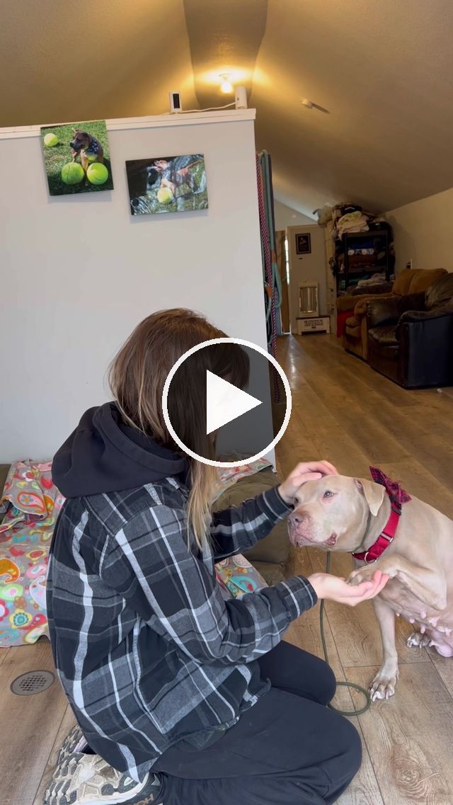 video — Dec 7 2022