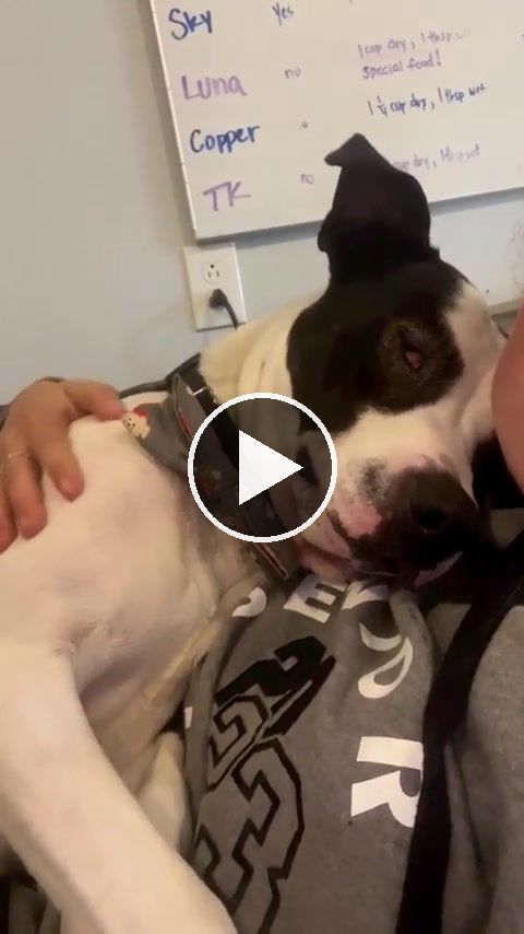 video — Dec 10 2022