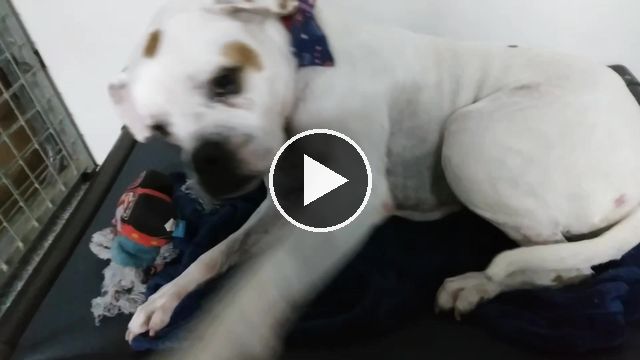 video — Dec 10 2022