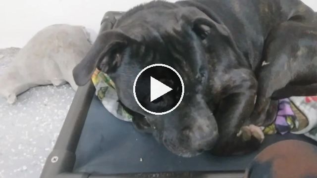 video — Jan 1–7 2023