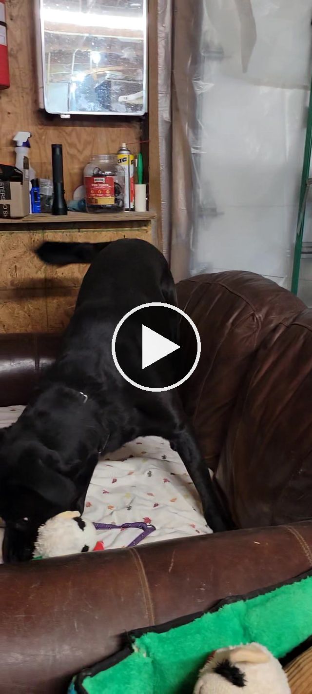 video — Jan 1–7 2023