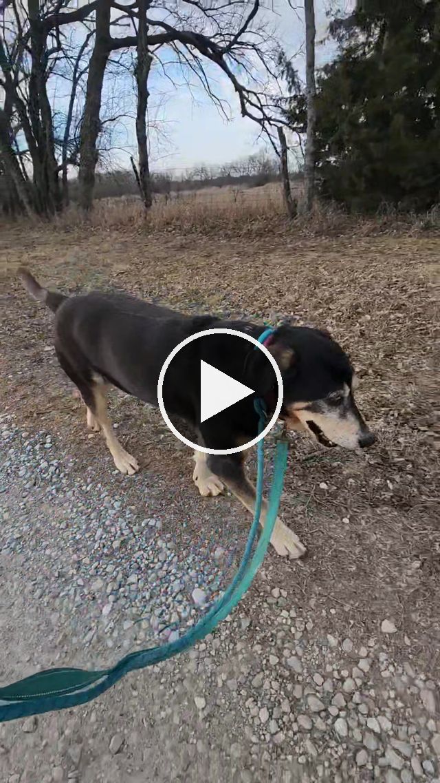 video — Jan 11–17 2023