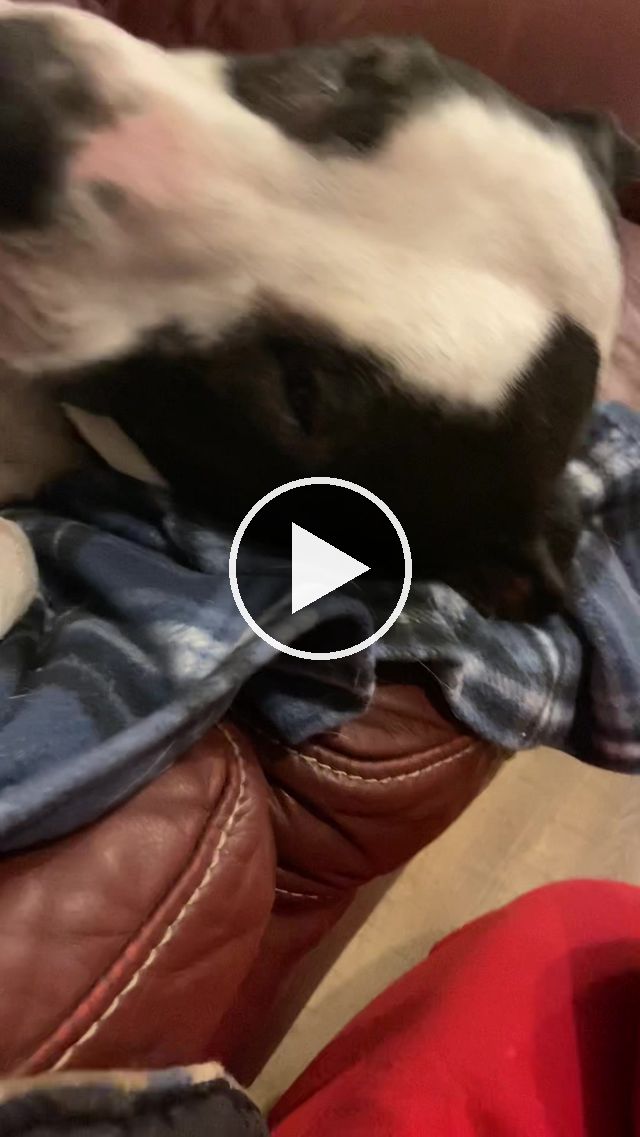 video — Jan 11–17 2023