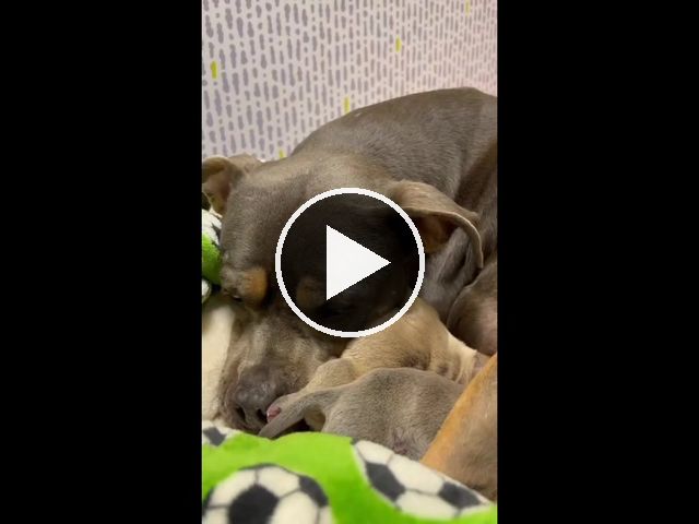 video — Jan 22 2023