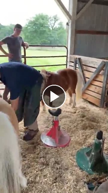 video — Jul 29 2026