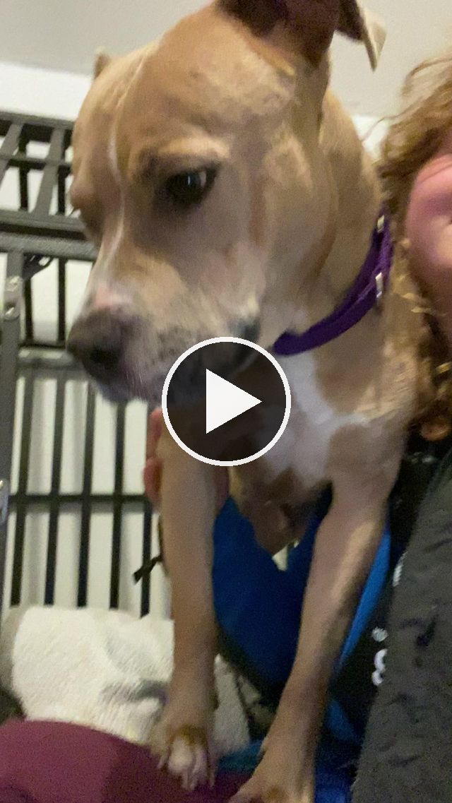 video — Feb 19 2023