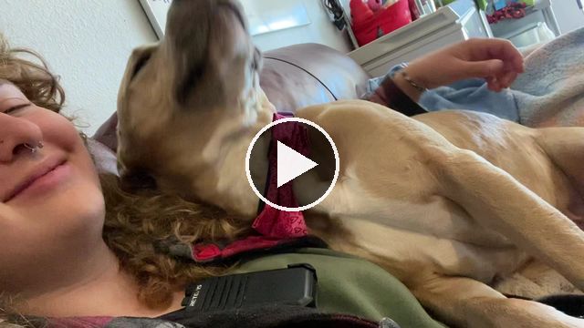 video — Feb 20 2023