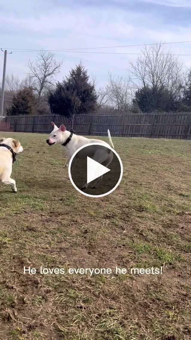 video — Mar 12–15 2023