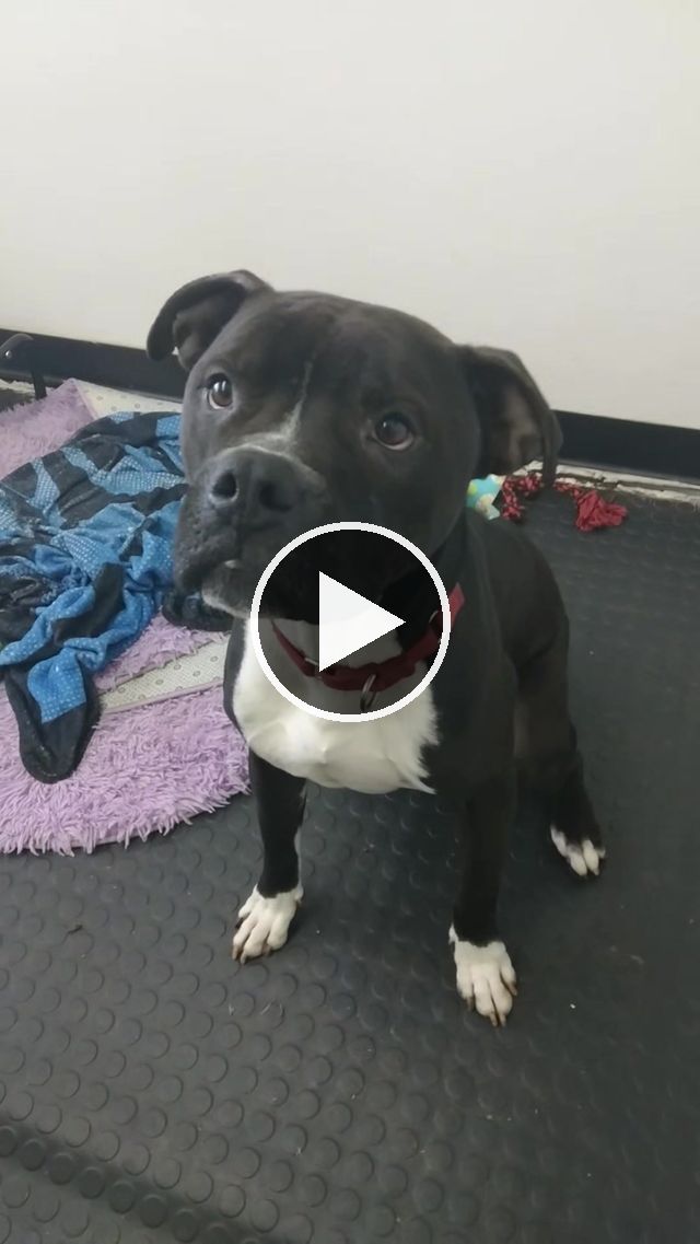 video — Mar 28–31 2023
